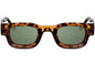 SODASHADE - Latin Lover sunglasses 8064 - Tortoise