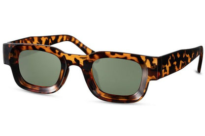 SODASHADE - Latin Lover sunglasses 8064 - Tortoise